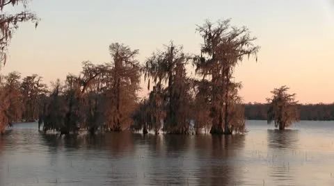 Sunset on Lake Martin Video stock 22158964