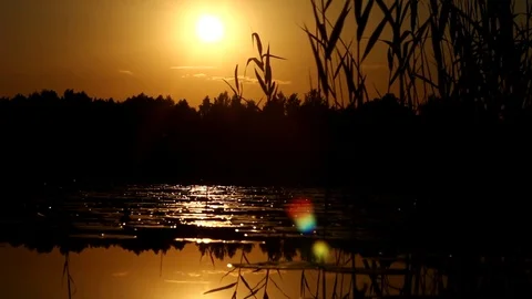 Sunset on the lake (ocher color) Stock Footage