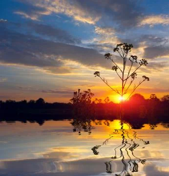 Sunset on lake Stock Photos