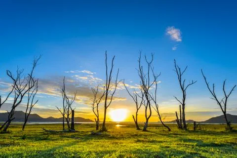 Sunset on lake Foto stock