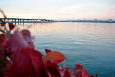 Sunset by the lake. Stock Photos