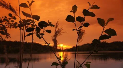 Sunset with Lake Stock-Fotos