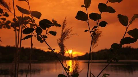 Sunset with Lake Fotos de archivo