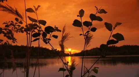 Sunset with Lake Stock Photos