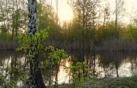 Sunset on the lake 库存照片