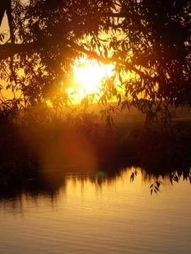 Sunset on the lake Stock-Fotos