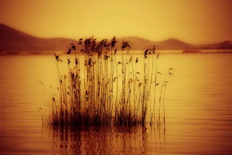 Sunset at lake Stock Photos