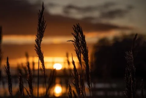 Sunset at the Lake Stock Photos