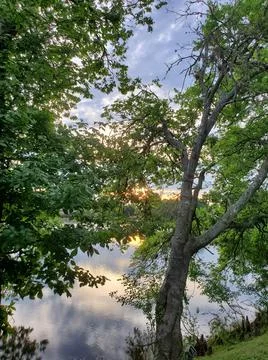 Sunset at the lake Foto stock