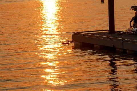 Sunset at the lake Stock Photos