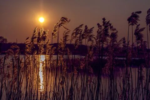 Sunset on the lake Stock Photos
