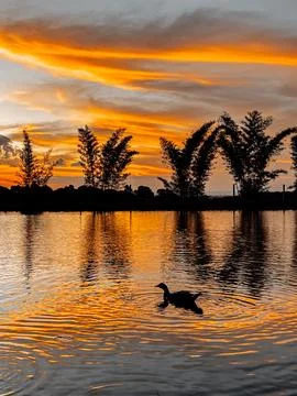 Sunset at the lake 写真素材