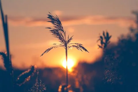 Sunset on the lake Foto stock