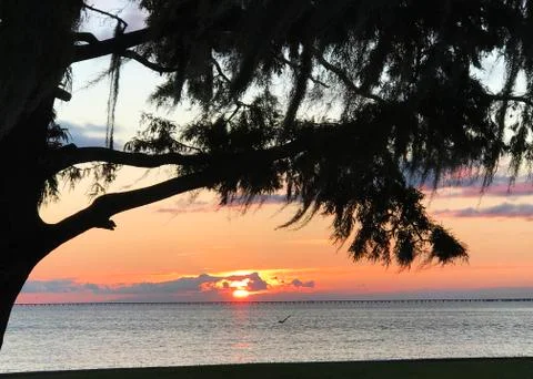 Sunset on Lake Pontchartrain 库存照片