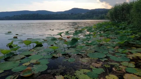 Sunset on the lake on a rainy day Stock Footage 276509435