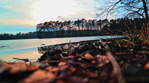 Sunset Lake Reflection with Forest Video stock 330364633