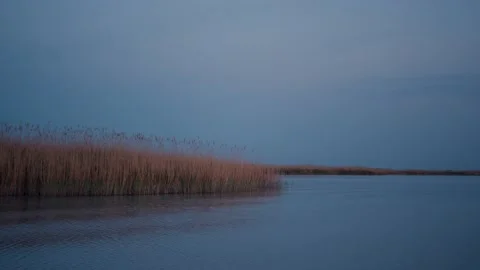 Sunset Lake Side 動画素材 138085159