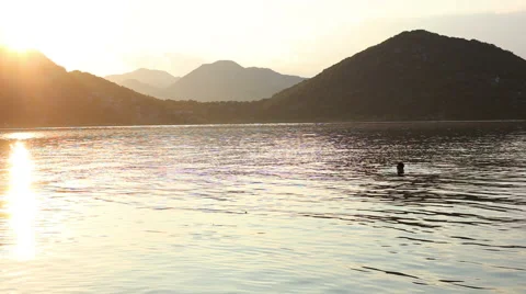Sunset on Lake Skadar Stock Footage 65908652