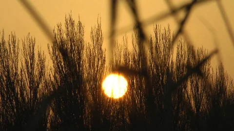 Sunset on the lake in spring Vídeo Stock 128549699