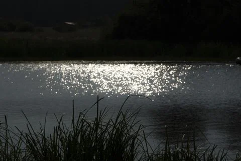 Sunset on the lake in the summer. The sun is reflected in the water. Stock Photos