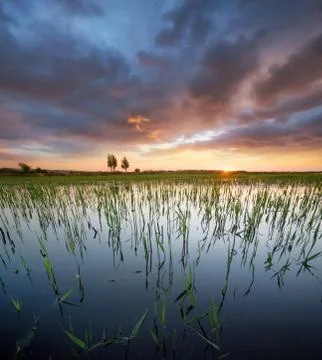 Sunset on lake in summer time Stock Photos