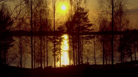 Sunset on the lake. Sunset reflected in water. Silhouettes of trees Stock-Footage 67532938
