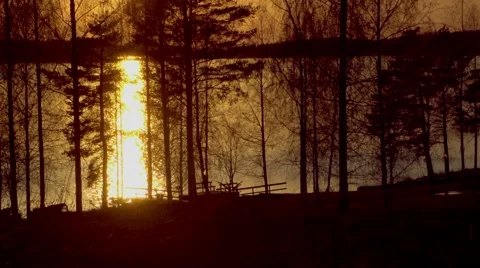 Sunset on the lake. Sunset reflected in water. Silhouettes of trees Stockbeeldmateriaal 67533068