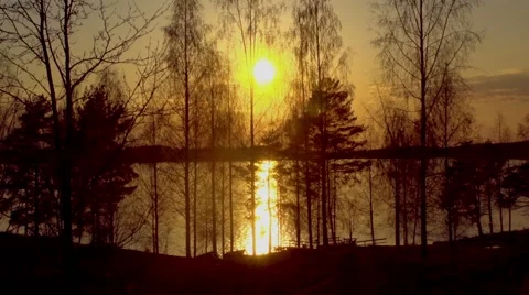 Sunset on the lake. Sunset reflected in water. Silhouettes of trees Video stock 67533150