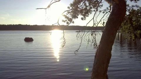 Sunset in Lake Sweden through tree Stock Footage 81063828