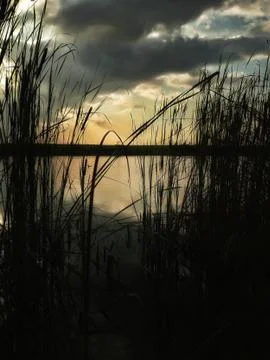Sunset at lake, thunderclouds and grass on a shore Foto stock