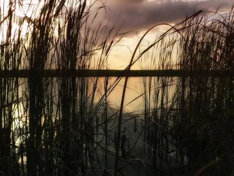 Sunset at lake, thunderclouds and grass on a shore Stockfoto's
