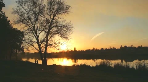 Sunset on the lake with tree Video stock 65499033