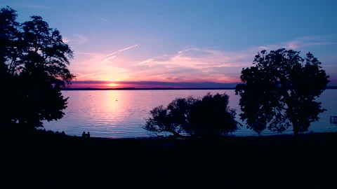 Sunset on a lake with tree silhouettes Stock Footage 155822491