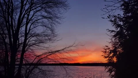 Sunset at a lake with trees, 6:55PM 動画素材 130544381