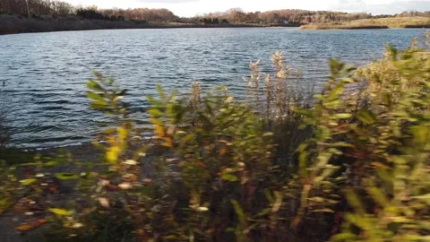 Sunset on a lake video Video stock 307535717