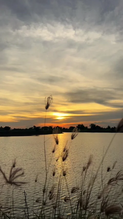 Sunset lake view in the evening, relax and unwind. Stock Footage 286838542