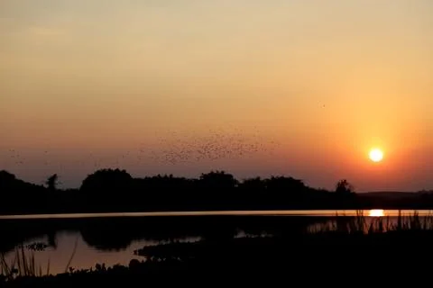 Sunset in lake view Stock Photos