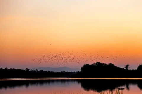 Sunset in lake view Stock Photos