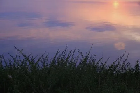 Sunset lake water reflection grass silhouette create tranquil horizon with .. Stock Photos