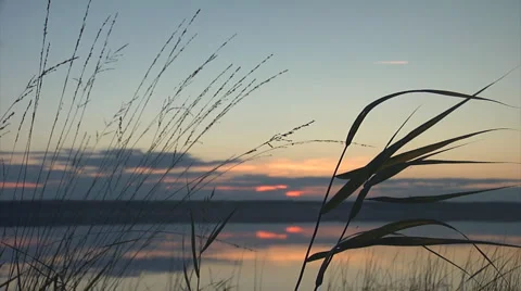 Sunset lake&amp;grass mid1 Stock Footage 1052525