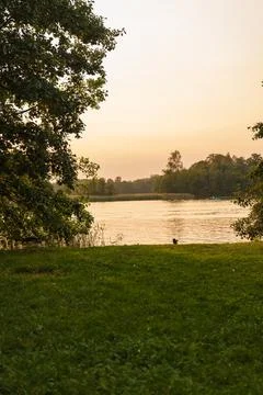 Sunset lakeside view in Lithuania with trees, grassy shore, and boat Stock Photos