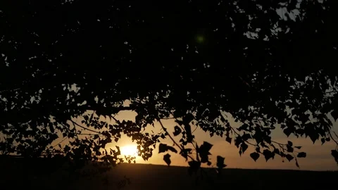 Sunset on the lake.summer sunset in nature Stock-Footage 152653223