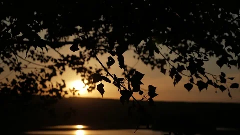 Sunset on the lake.summer sunset in nature Stock Footage 152653286