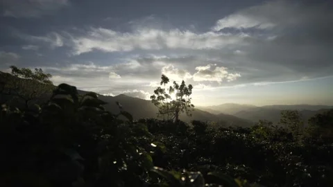 A sunset landcape Stockbeeldmateriaal 131524850