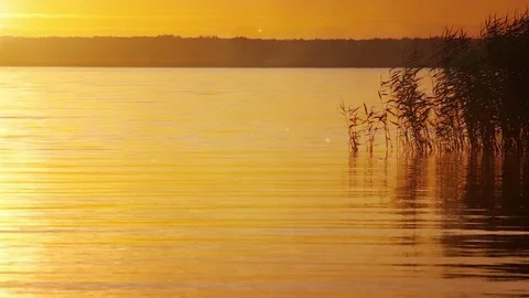 Sunset Landscape Background Stock Footage 79195780