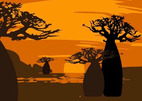 Sunset with landscape of baobab trees. Forest of Boab or Baobab Tree background Иллюстрация