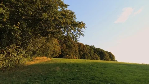 Sunset landscape Eifel flying towards trees and panning upwards in blue sky Stock Footage 97052227