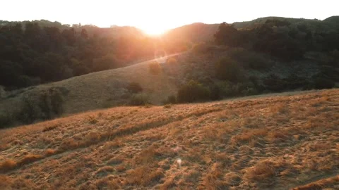 Sunset landscape Stock Footage 142417996