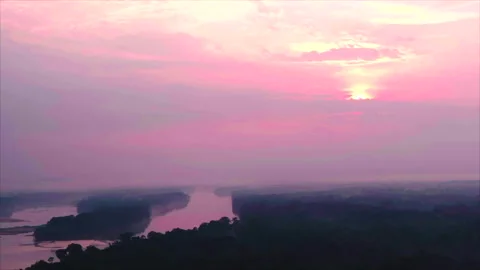 Sunset landscape with forest foreground and river, soft pink light, Congo Stock Footage 332000137