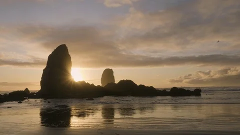 Sunset landscape at haystack rock cannon beach bird flying landing on sea stack Vidéo 122806144
